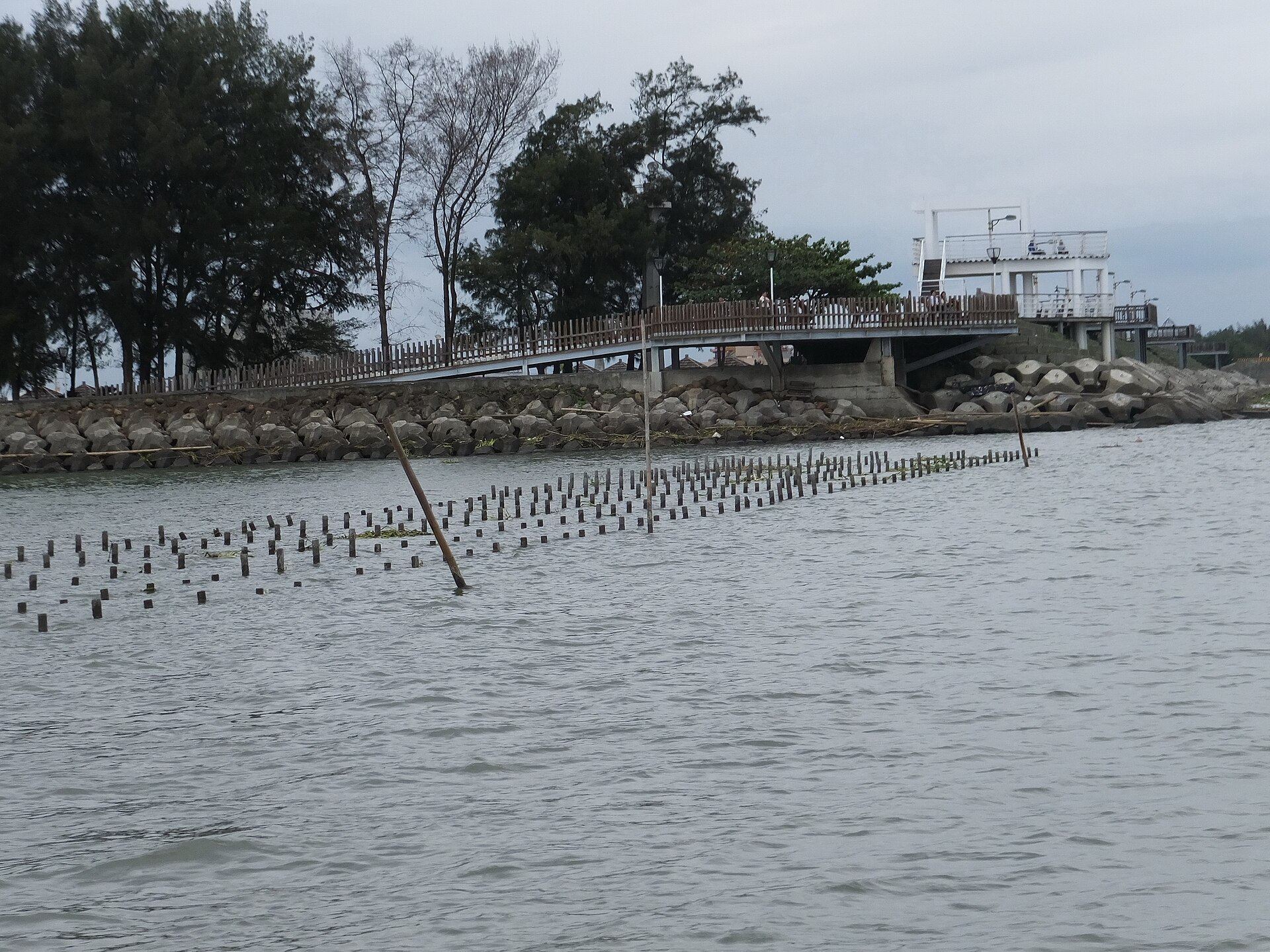 海邊木棧道、消波塊與淺海上成排的蚵架